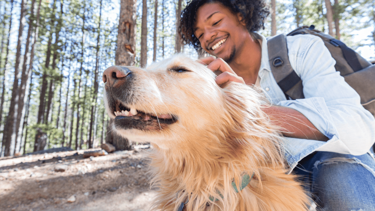 dog parasite prevention