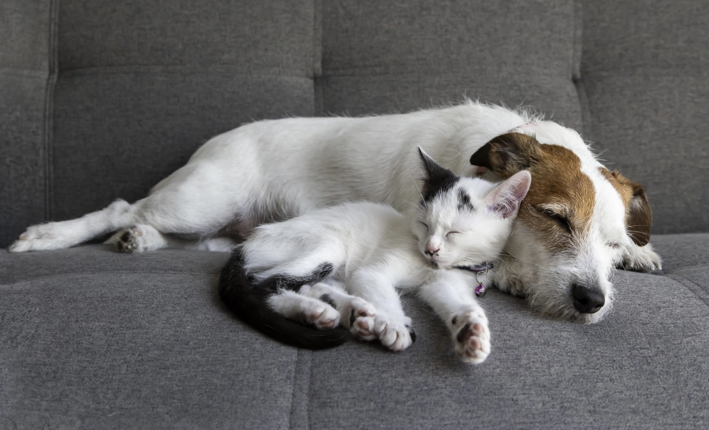 article content book appt