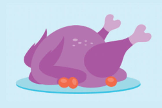 Top safety tips to avoid a pet emergency for your cat this Thanksgiving