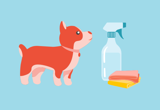 Safe spring cleaning with your dog