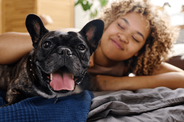 How to get rid of stinky pet breath