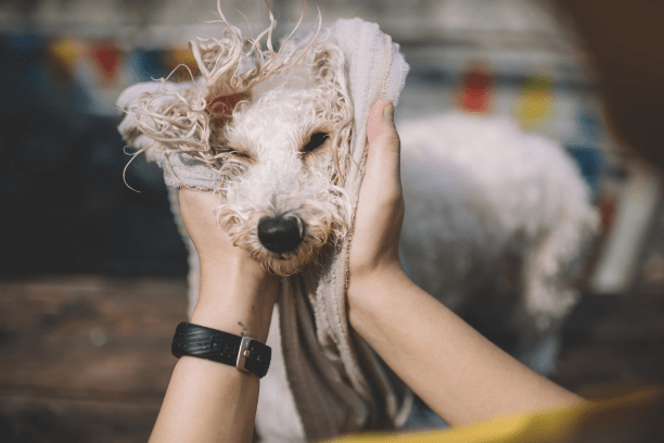 Prevent swimmer-s ear