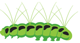 pet poison- caterpillar