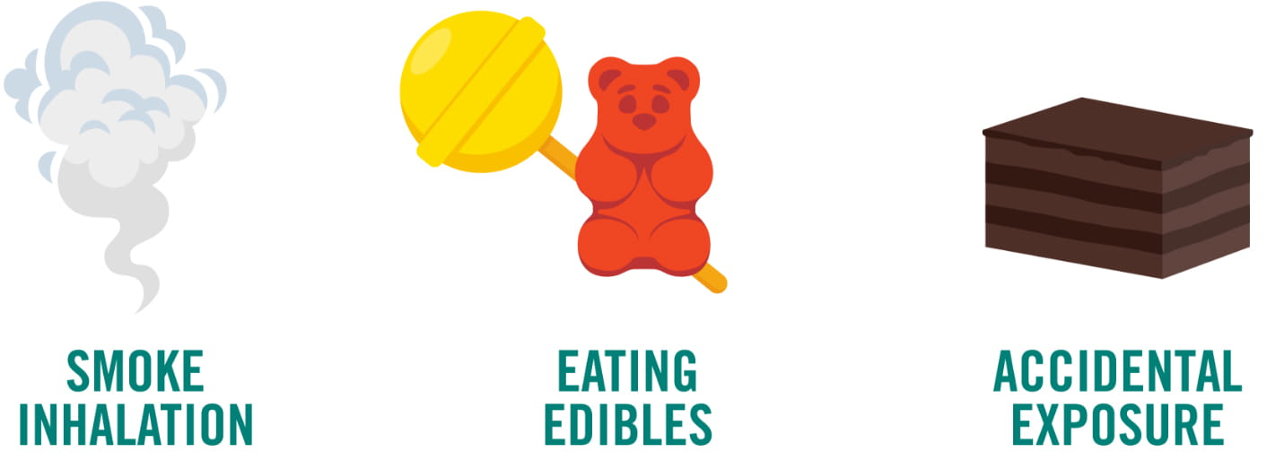 Toxin spotlight: Marijuana