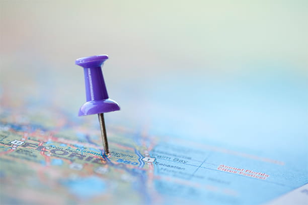 Top most common pet toxins by state