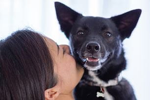 winter weather skin tips for pets