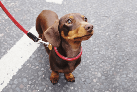 Antibiotic Awareness Week—Get smart about antibiotic use!