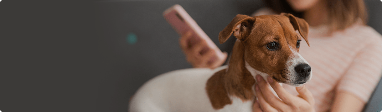 woman on her cellphone with dog