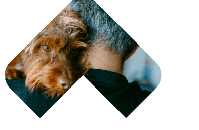 Dogs Skin & Coat illustration