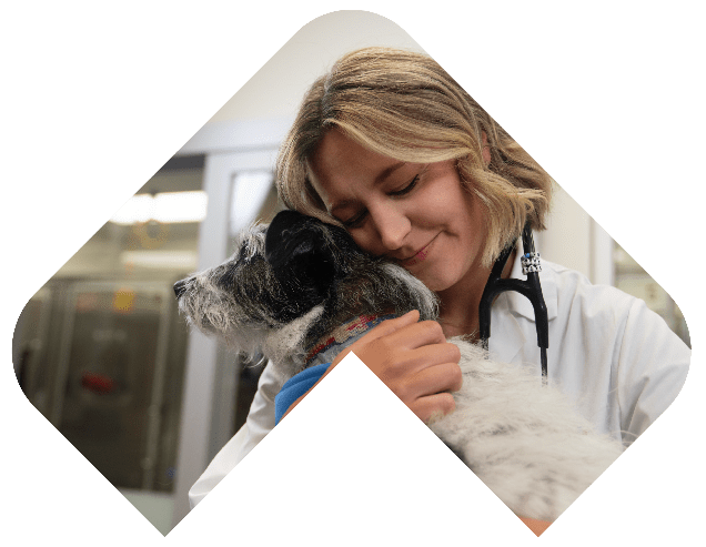 worldclassbannerimage