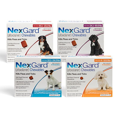 NexGard® Chewables