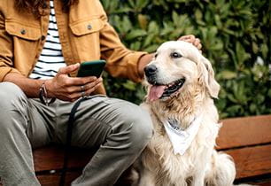 puppy care into adulthood