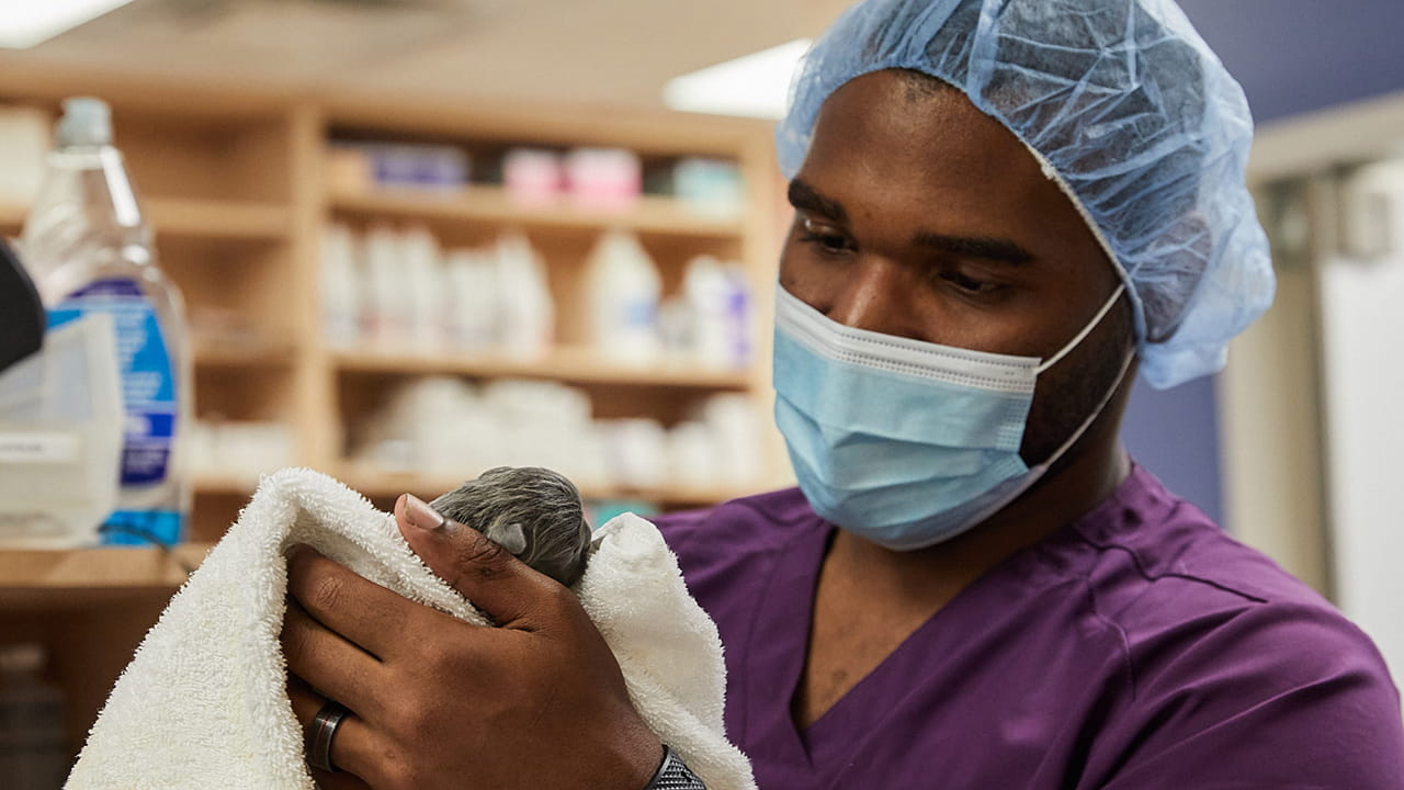 about emergency care