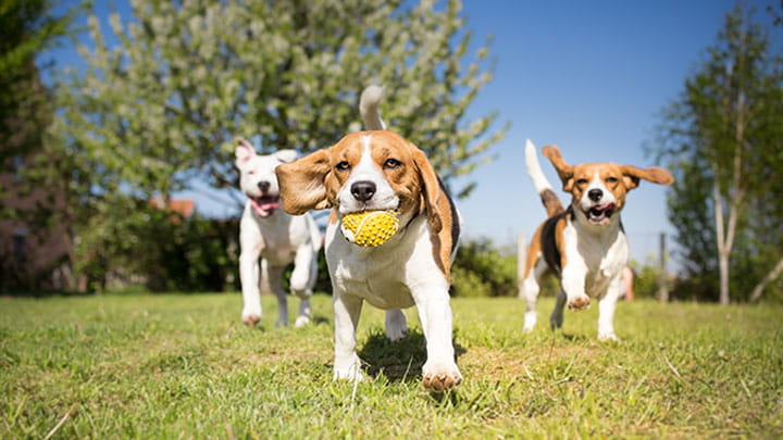 720x405 CommunityPartners Option1