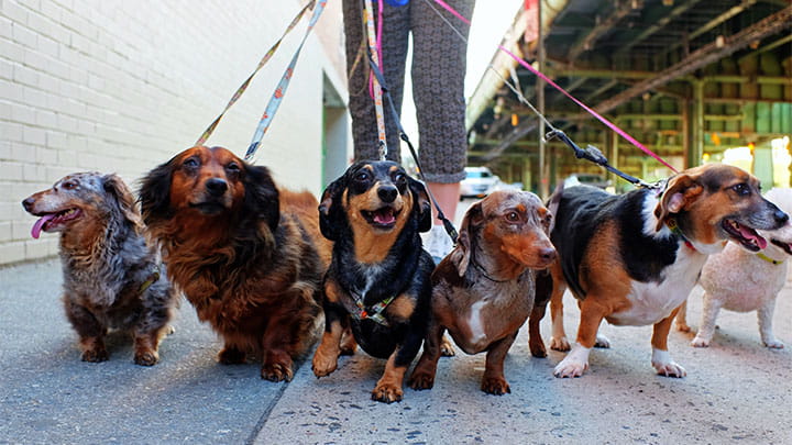 720x405 CommunityPartners Option10