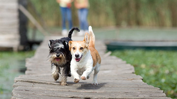 720x405 CommunityPartners Option15