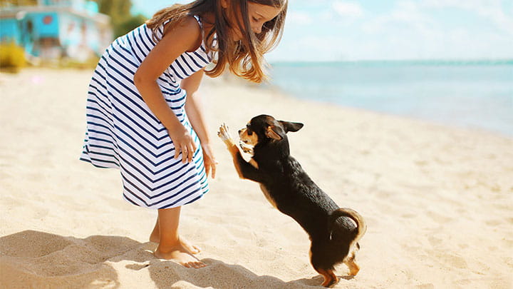 720x405 CommunityPartners Option16