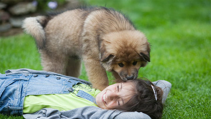 720x405 CommunityPartners Option18