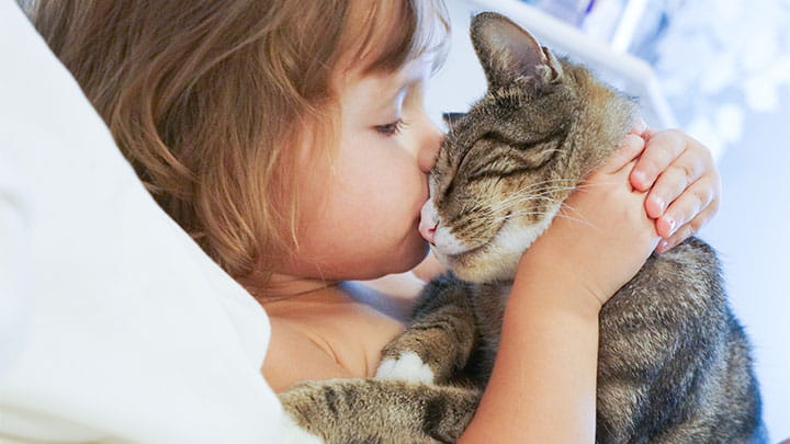 720x405 CommunityPartners Option23