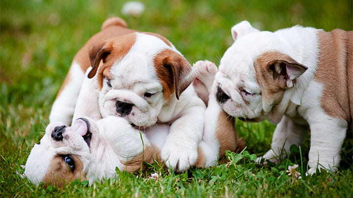 720x405 CommunityPartners Option25