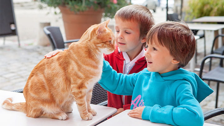 720x405 CommunityPartners Option28