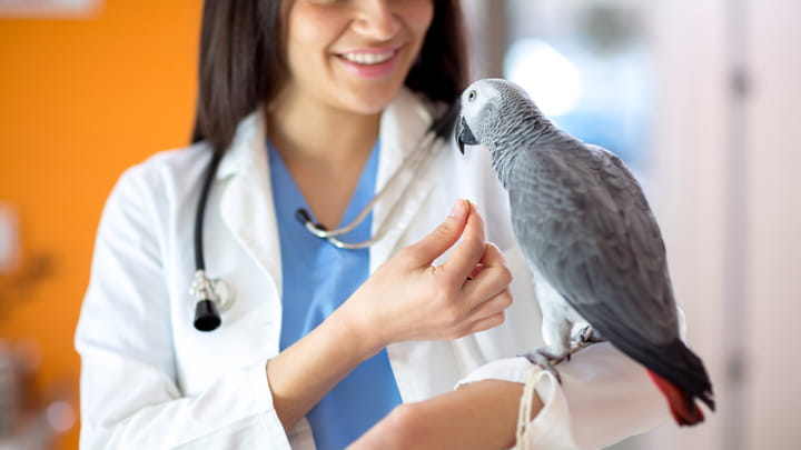 720x405 CommunityPartners Option31