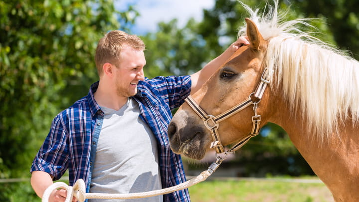 720x405 CommunityPartners Option32