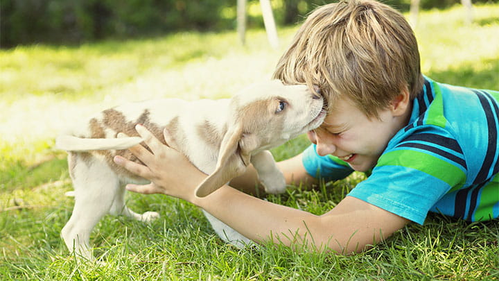 720x405 CommunityPartners Option6