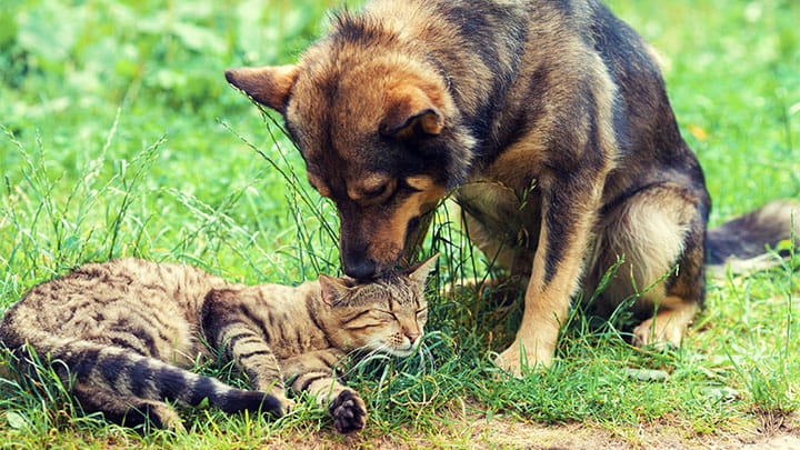 720x405 CommunityPartners Option8