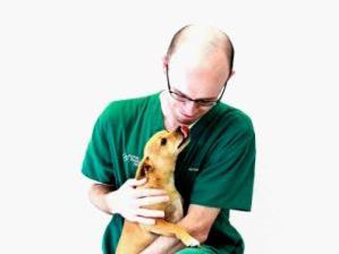 700x525 animal medical center anniston LawrenceMcAdams