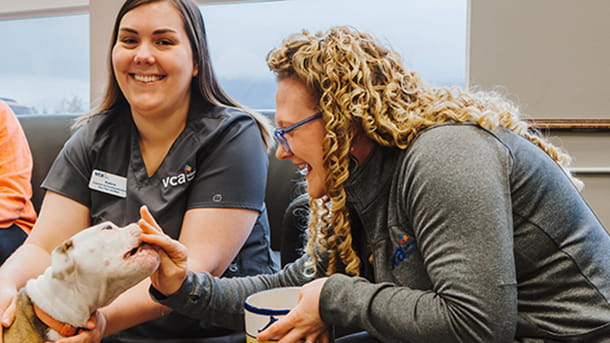 Veterinary staff feeding treats to dog