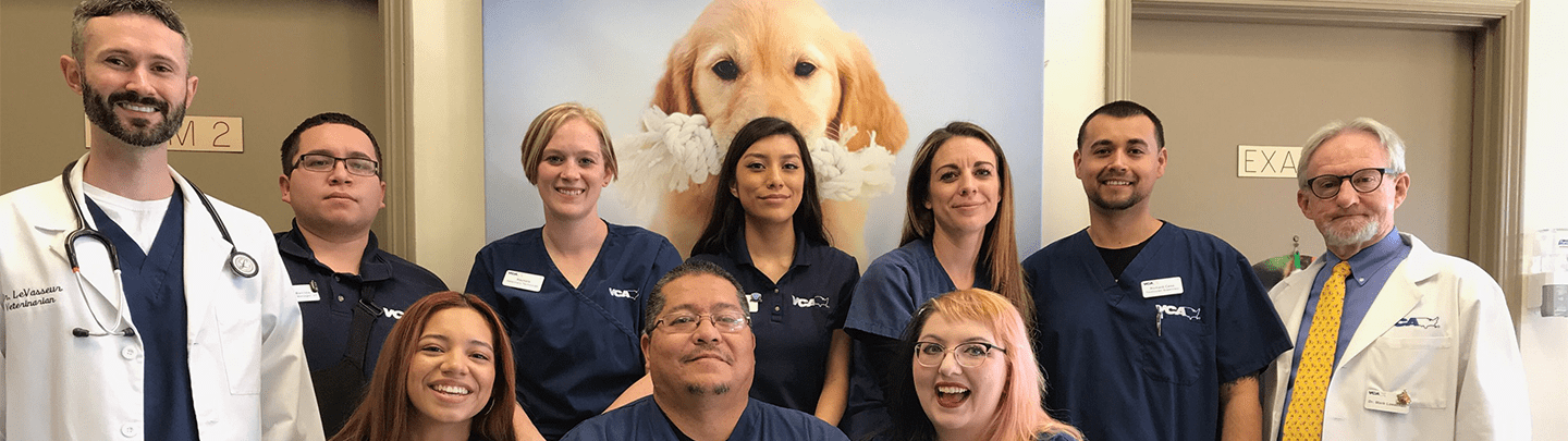 /-/media/2/vca/images/hospitals/united-states/arizona/elliot-park/staff/1440x405_elliot-park_ourteam2019.png?rev=d167c49888424f18831c1017c917f17c