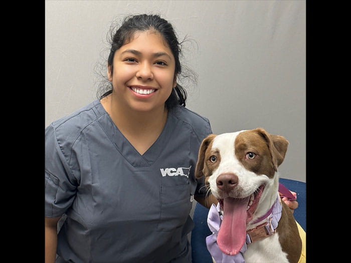 Brittany L. Staff Photo