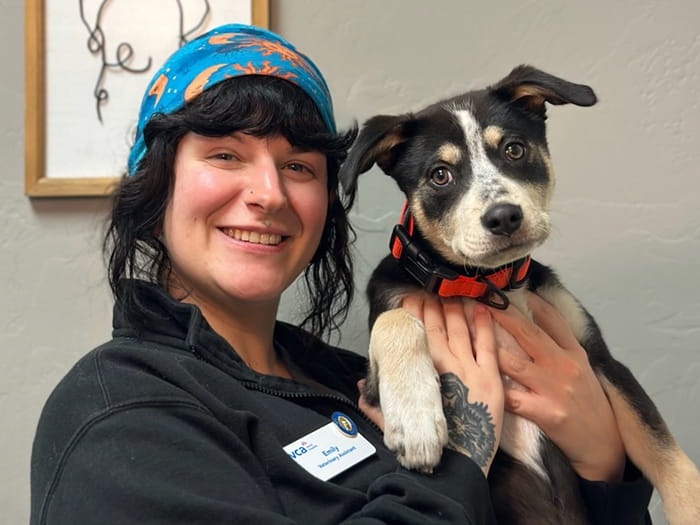 Emily Wolf Staff Photo