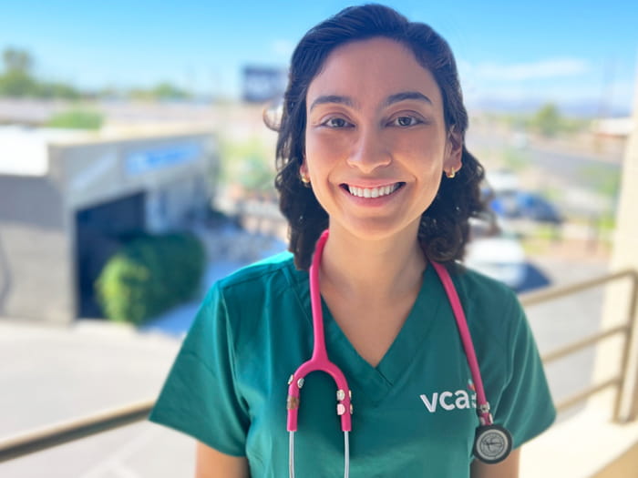 Dr. Anne Zlatow Staff Photo