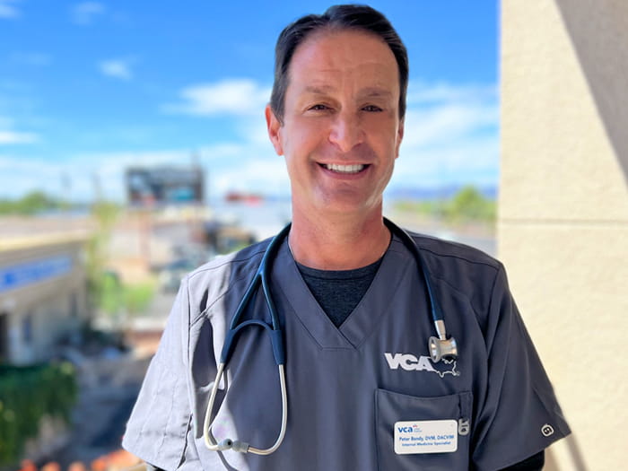 Dr. Peter Bondy Staff Photo