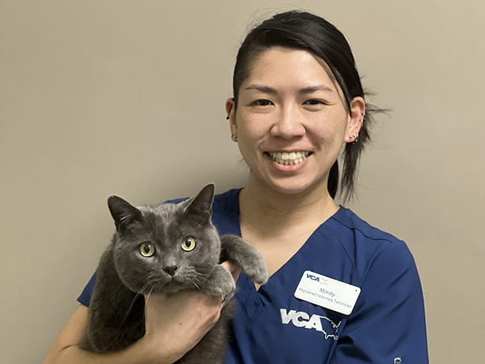 Mindy Sato Staff Photo