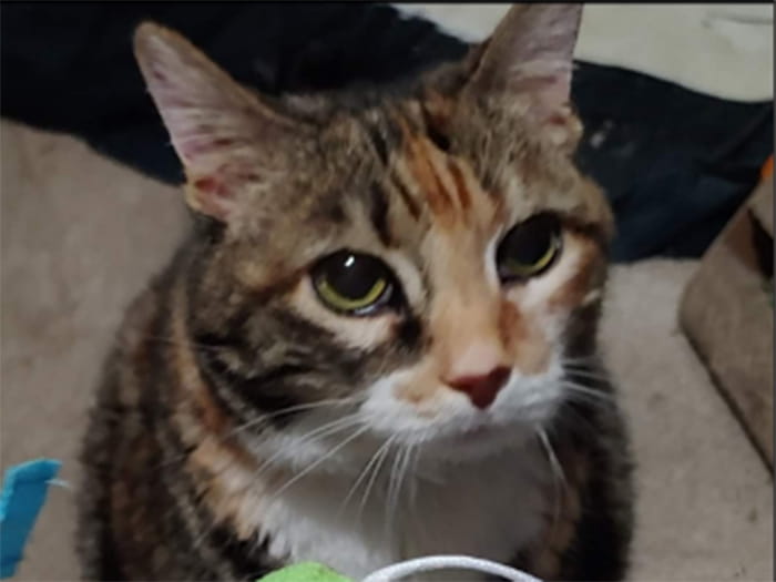 Cristal R. Staff Photo