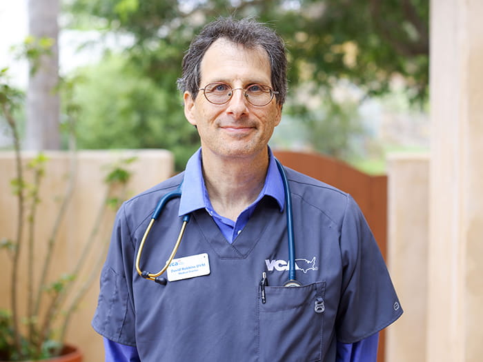 Dr. David Robbins Staff Photo