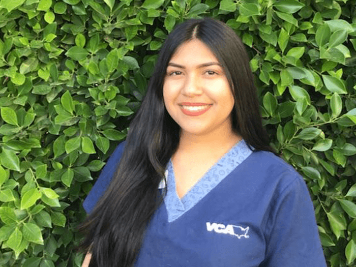 700x525 all creatures ca Angelina