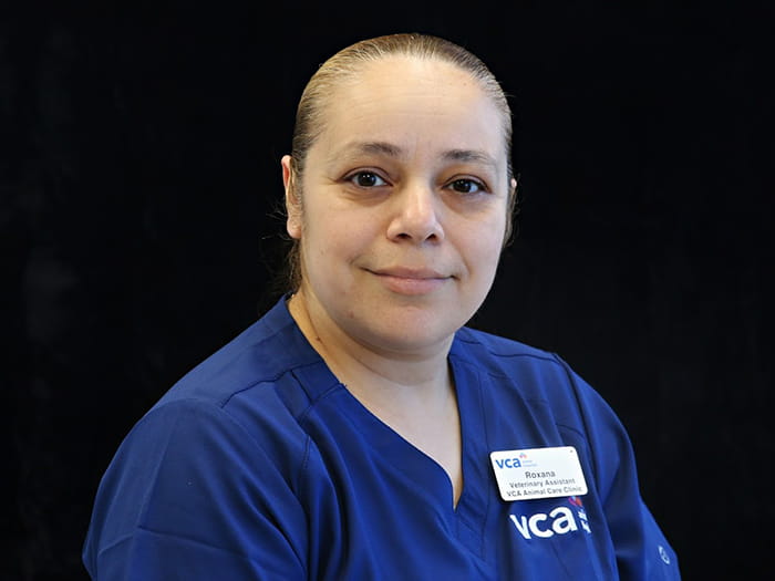 Roxana Contreras Staff Photo