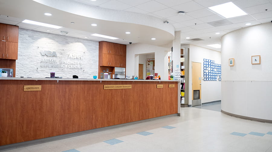 VCA Animal Specialty & Emergency Center Lobby