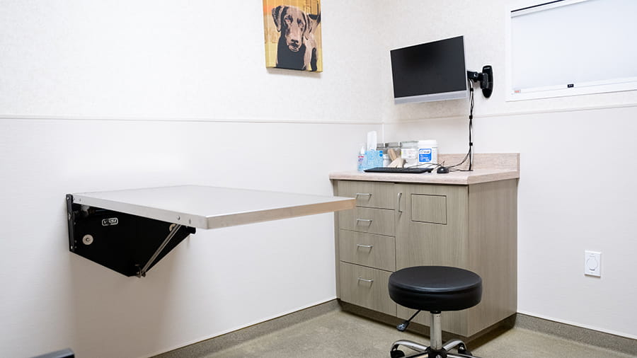 Exam Room at VCA Animal Specialty & Emergency Center