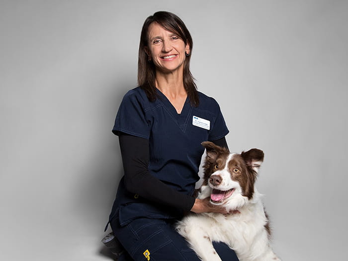 Dr. Ingrid Judge Staff Photo