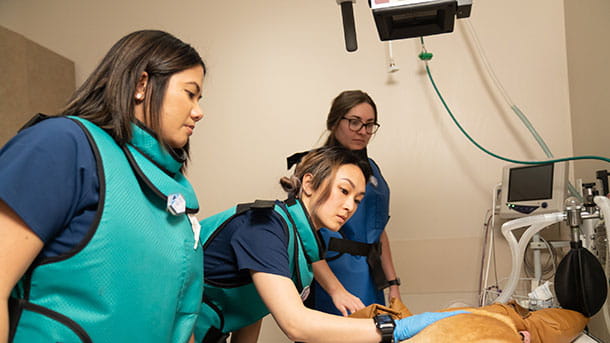 VCA Animal Specialty Group veterinary team with dog