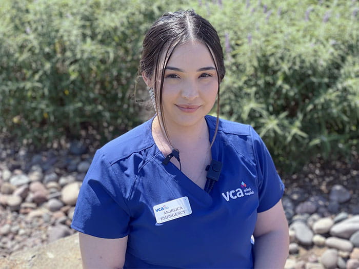 Anjelica V. Staff Photo