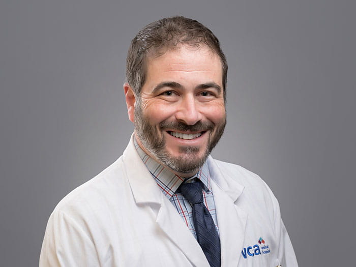 Dr. David Geiger Staff Photo