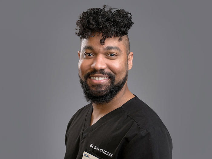 Dr. Jonjo Reece Staff Photo