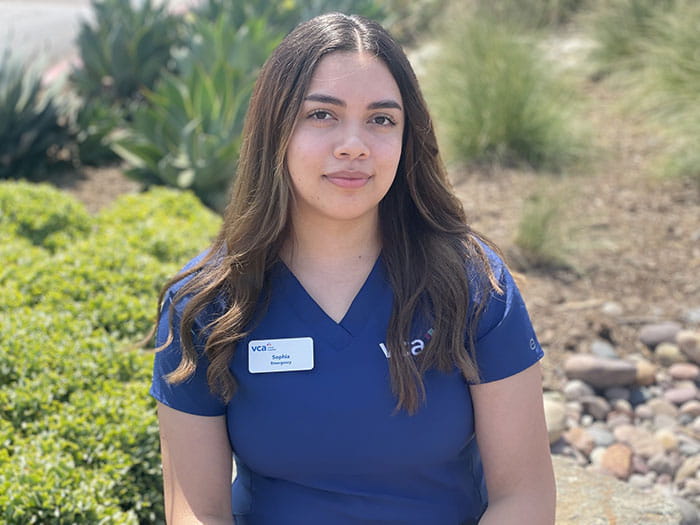 Sophia V. Staff Photo