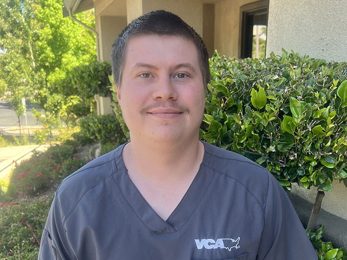 Desmond Ramelli Staff Photo